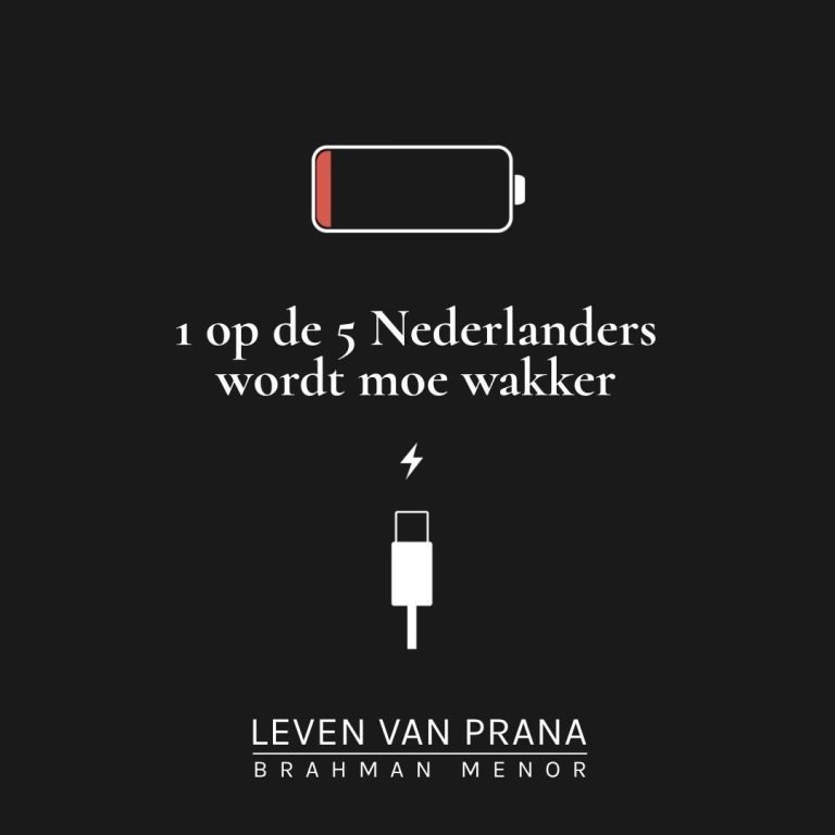 Een oplossing voor vermoeidheid in Nederland: Pranic Living